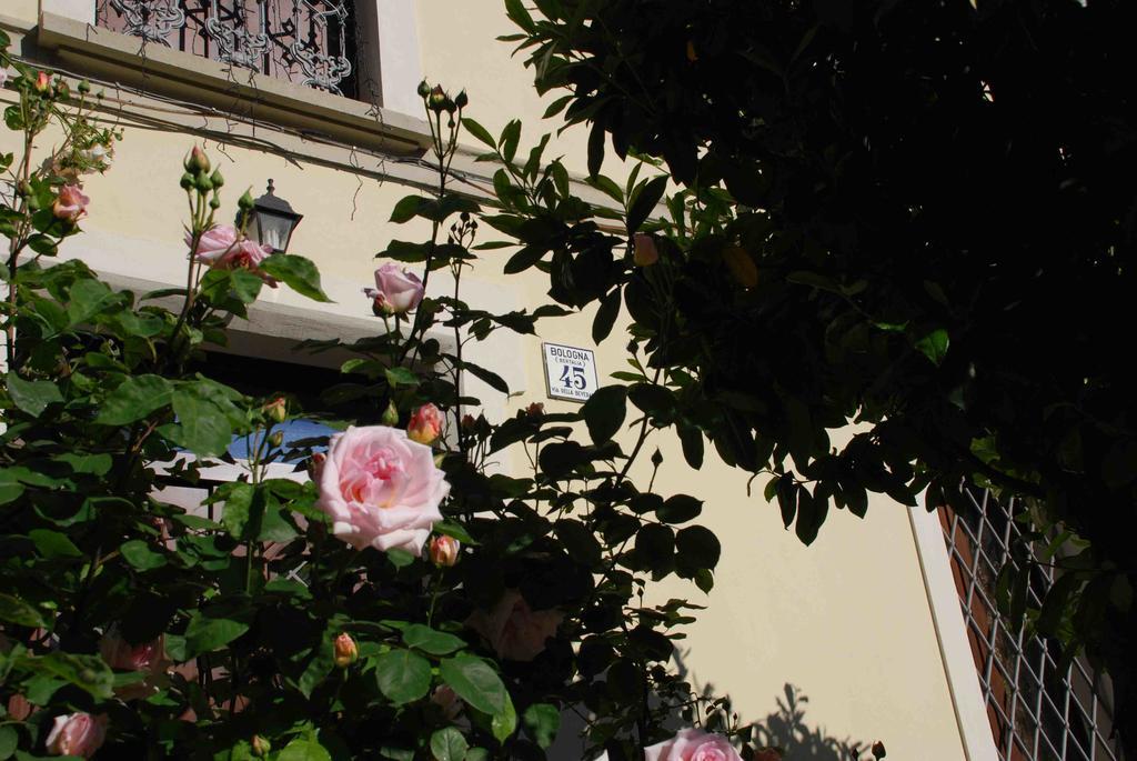 Beverara B&B - Bologna — Foto 2